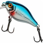 Pulse fry shallow 3.8cm blue flash