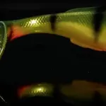 60g 15cm pope quantum freak of nature swimbait perch 1darab - Image 3