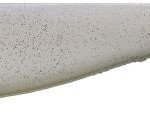 Dexter shad 11cm pearl bone