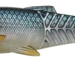 Craft cannibal paddletail 6.5cm 4g roach