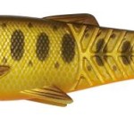 Craft cannibal paddletail 8.5cm 7g dirty roach gumihal