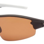 Jaxon polarized glasses brightening
