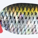 Jaxon holo select karaś scot lures 1 16,0g d támolygó villantó