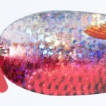 Jaxon holo select karaś scot lures 1 16,0g r támolygó villantó
