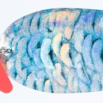 Jaxon holo select karaś krol lures 1 16,0g e támolygó villantó
