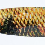 Jaxon holo select ukla scot lures 2 22,0g t