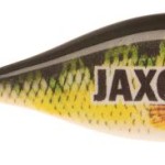 Jaxon keyring jaxon wobler perch