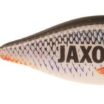Jaxon keyring jaxon wobler roach