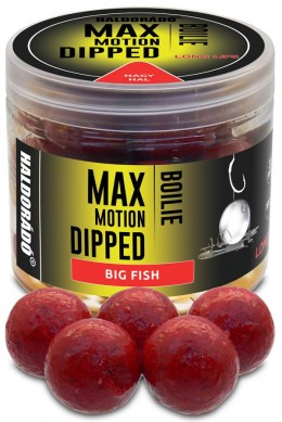 Haldorádó max motion boilie dipped 20 mm - nagy hal horogcsali
