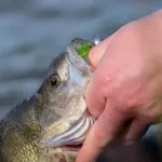 Fox rage micro jig heads size 4 / 6g jigfej - Image 7