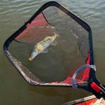 Fox rage speedflow folding landing net large merítőszák - Image 3