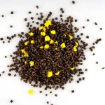 Rickys fishing tropical – pellet 2,5-3mm (trópusi gyümölcs) - Image 3