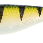 Jaxon intensa hegemon soft lures j 9cm gumihal