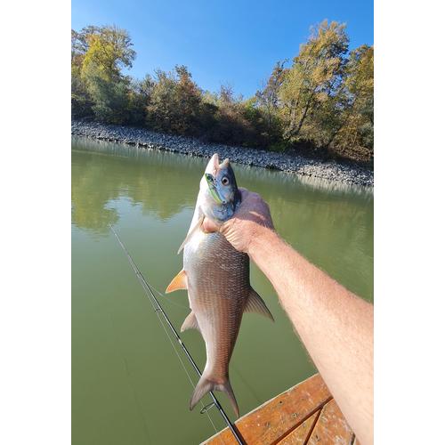 REIVA Blademaster 10,5g (Rainbow) - Image 2