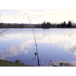 Delphin DANGER CatFISH - 310cm/350g/2rész - Image 2