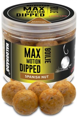 Haldorádó max motion boilie dipped 20 mm - spanyol mogyoró dippelt horog bojli