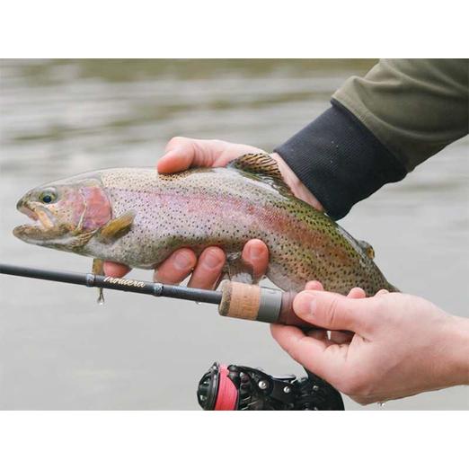 Delphin TroutEra HardLure 210cm 2-7g 2 részes pergető horgászbot - Image 9