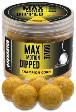 Haldorádó max motion boilie dipped 20 mm - champion corn horogcsali