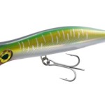 Kamatsu reef pop 200f tiger