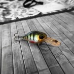 Jackall Chubby 38 MR Silent hl perch (59), wobbler - Image 2