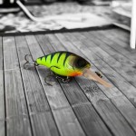 Jackall Chubby 38F MR uv mat chart perch (11), wobbler - Image 2