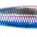 Jaxon holo reflex odyn pirk lures 140,0g d