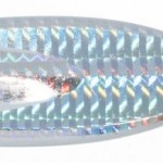 Jaxon holo reflex skemp pirk lures 180,0g f