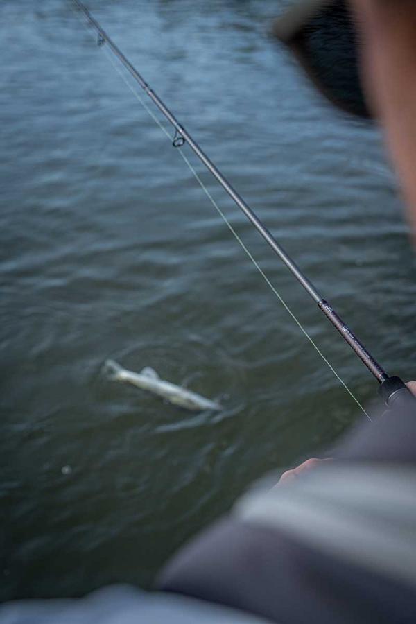 Fox rage warrior zander jig rod 10-30g 240cm 2 részes pergető horgászbot - Image 11