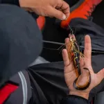 Fox rage spinnerbaits - new additions fox rage spinnerbait 28gr ayu - Image 6