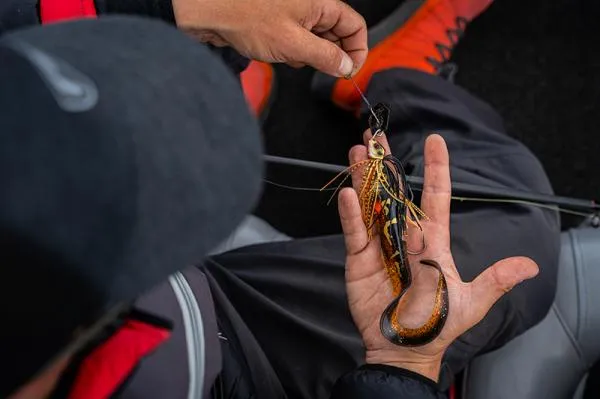 Fox rage spinnerbaits - new additions fox rage spinnerbait 28gr ayu - Image 6