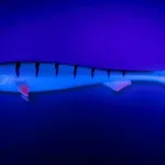 Fox rage super slick shad uv 18cm / 7" firetiger gumicsali - Image 8