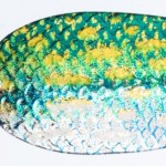 Jaxon holo select karaś natural lures 2 18,0g nsl
