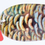 Jaxon holo select karaś krol lures 2 18,0g a támolygó villantó