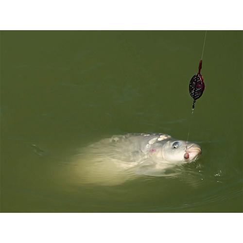 Delphin Method QUIX Method Feeder kosár - L / 60g - Image 9
