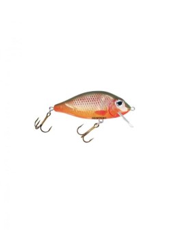 Hester prussian carp 5cm 6g 0,5-1,5m 116