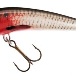 Jaxon holo select ferox lures 6,0cm f rb wobbler