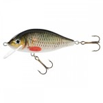 Jaxon karaś 8,0cm f a