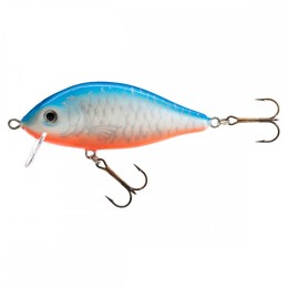 Jaxon karaś sw 8,0cm f nl