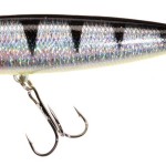 Jaxon atract dron lures 6,5cm f c wobbler