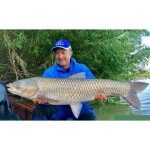 By Döme TEAM FEEDER Royal Method Carp 360M - Image 3