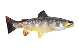 Halas Párna Sebes Pisztráng 36 CM