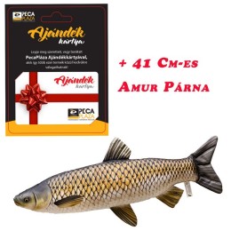 Ajándékkártya 15000 FT Amur Baby Párnával