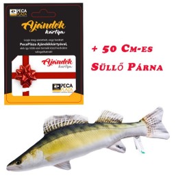 Ajándékkártya 25000 FT Süllő Baby Párnával