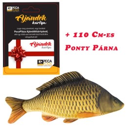 Ajándékkártya 40000 FT óriás Pikkelyes Ponty Párnával