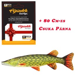 Ajándékkártya 25000 FT Csuka Párnával