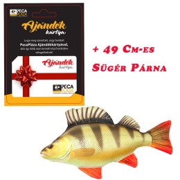 Ajándékkártya 25000 FT Sügér Párnával