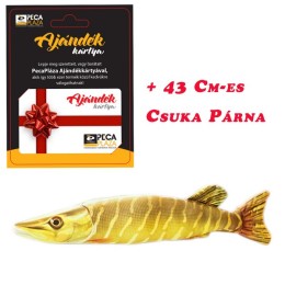 Ajándékkártya 15000 FT Csuka Baby Párnával