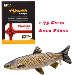 Ajándékkártya 25000 FT Amur Párnával