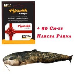 Ajándékkártya 25000 FT Harcsa Baby Párnával