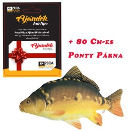 Ajándékkártya 40000 FT óriás Ponty Párnával